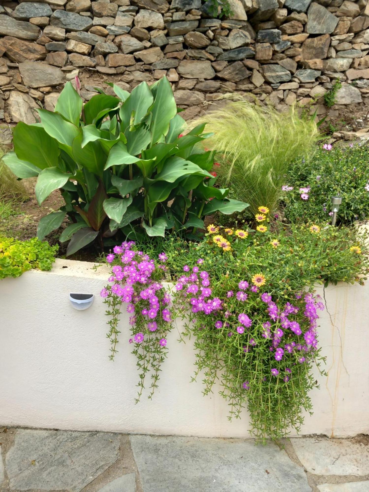Elevtherai Green Meadow מראה חיצוני תמונה