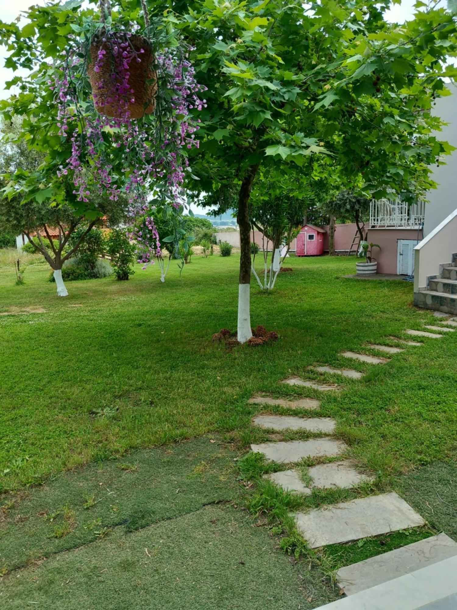 Elevtherai Green Meadow מראה חיצוני תמונה